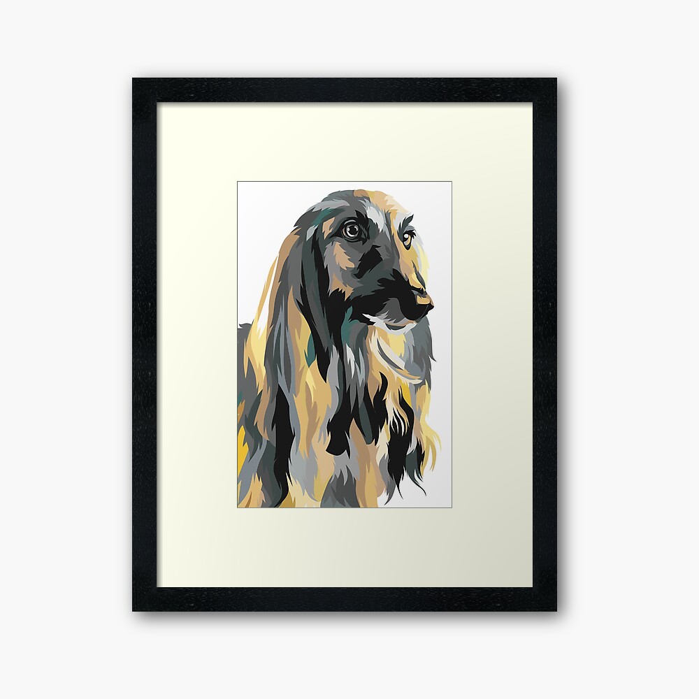 Afghan Hound